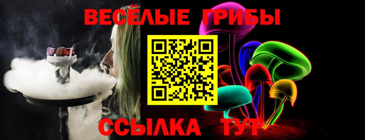 Псилоцибиновые грибы мицелий Котовск